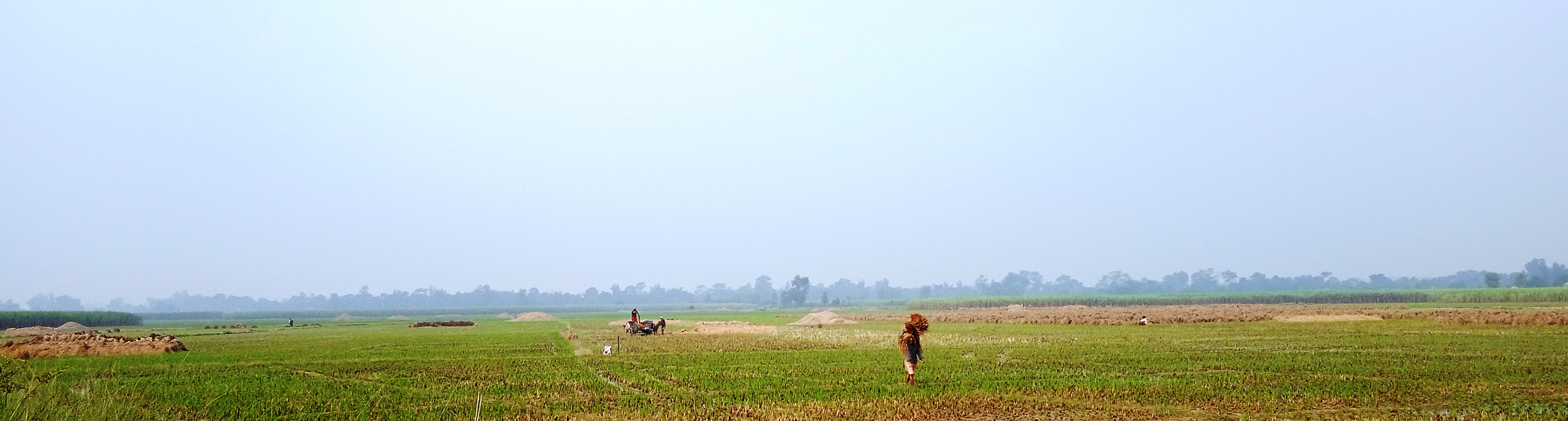 कञ्चनपुरमा मात्रै कृषि क्षेत्रमा करिब डेढ देखि दुई अर्बसम्मको आर्थिक नोक्सानी भएको आङ्कलन